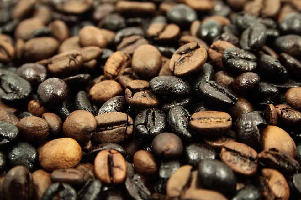 Kan man tvätta bort mögel från kaffebönor?